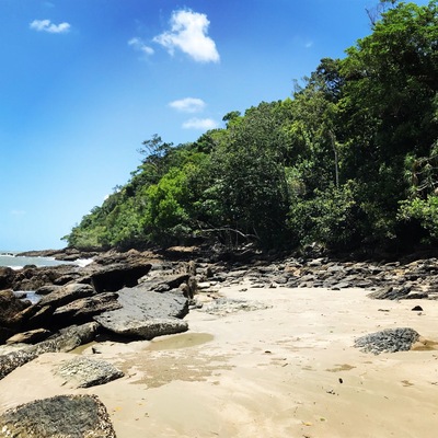 Where the rainforest meets the ocean! One of the most beautiful places in the world #lifeatexpedia #beach #rainforest #sunshine