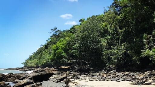 Where the rainforest meets the ocean! One of the most beautiful places in the world #lifeatexpedia #beach #rainforest #sunshine