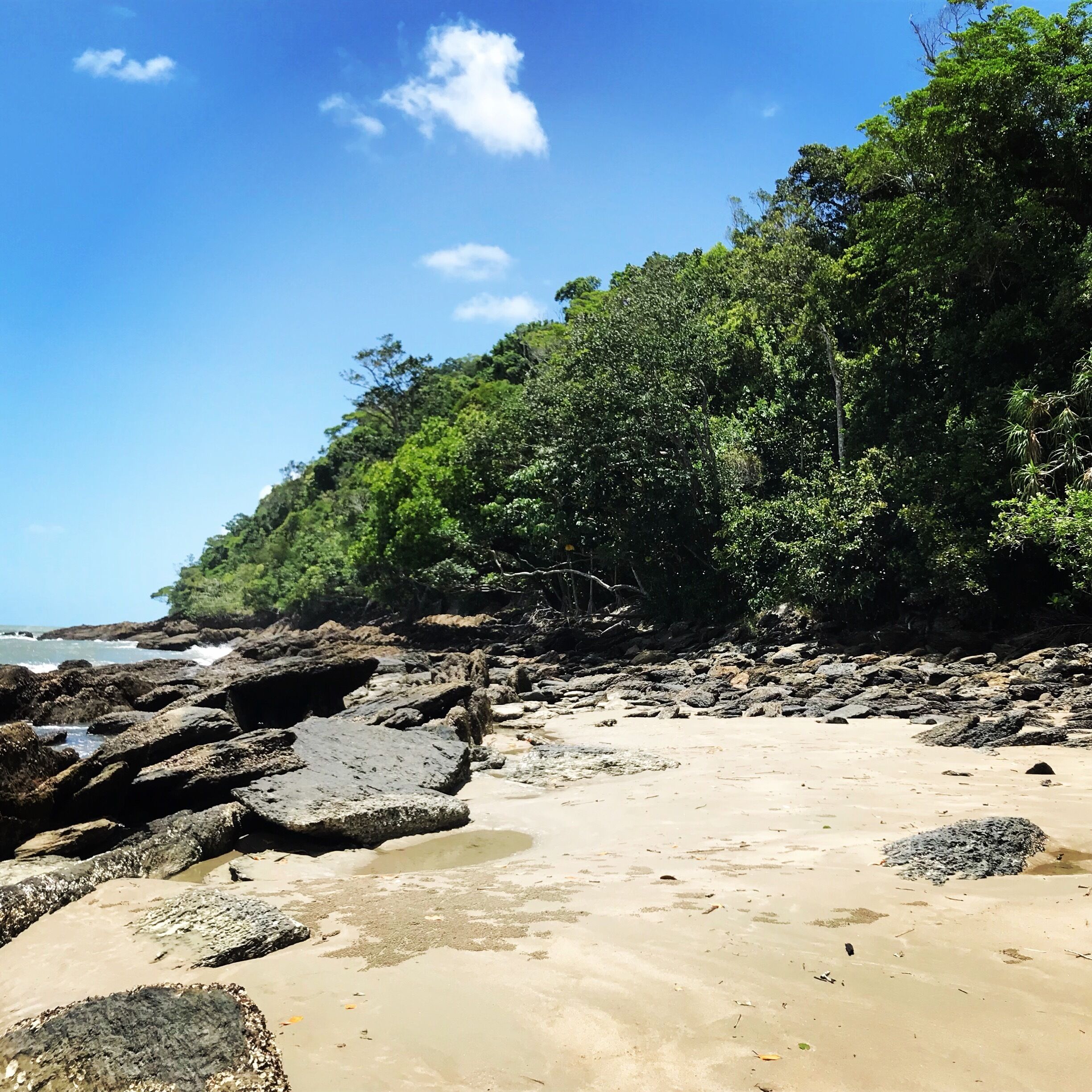 A rocky beach with dense green foliage and a clear blue sky.