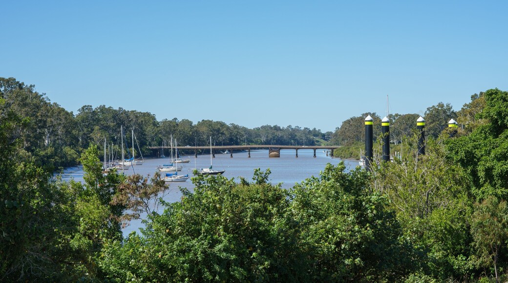 A river with boats, a bridge, and dense greenery.