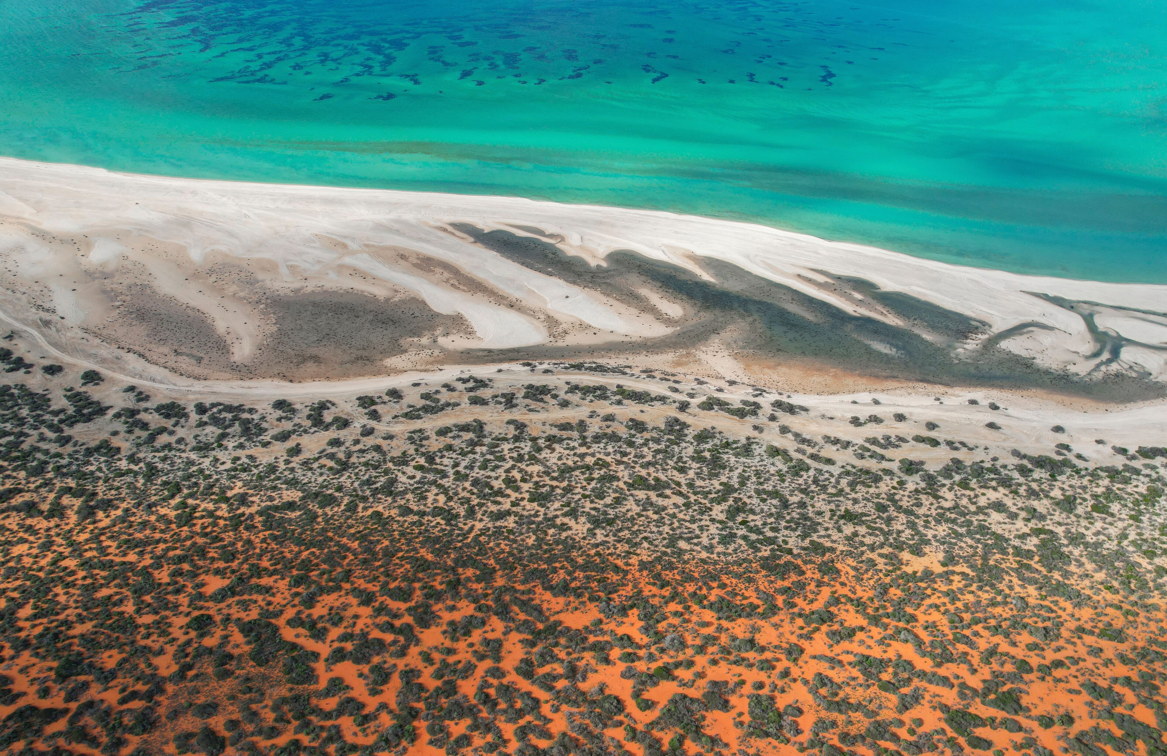 An aerial view of a coastal landscape with a sandy beach, clear turquoise waters, and sparse vegetation.