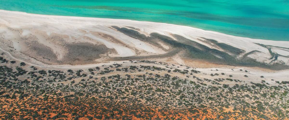 An aerial view of a coastal landscape with a sandy beach, clear turquoise waters, and sparse vegetation.