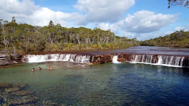 Ein klares Gewässer mit einem Wasserfall, umgeben von Bäumen und einem bewölkten Himmel.