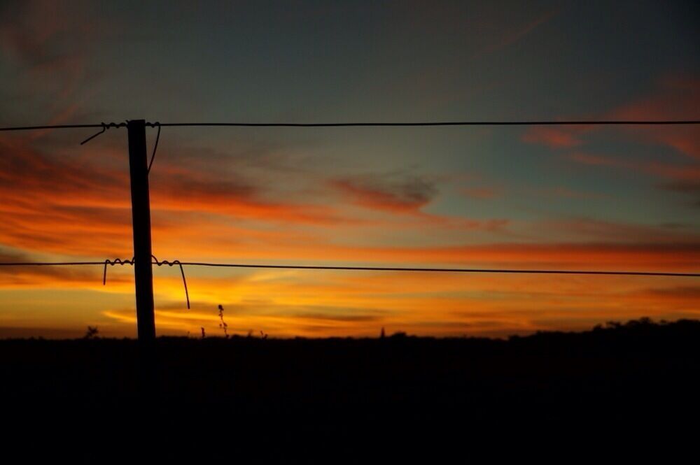 The sunset from Bramwell Station was beautiful and made a change from watching it over a beach while travelling around Queensland.

Bramwell is a working station, but also has a tourist part with camp sites and accommodation. Happy hour, a good meal and live entertainment certainly made a change from the bush camping we'd been doing.

You can reach Cape York in about half a day from here so it's a good stopping place on the way up, or down.
