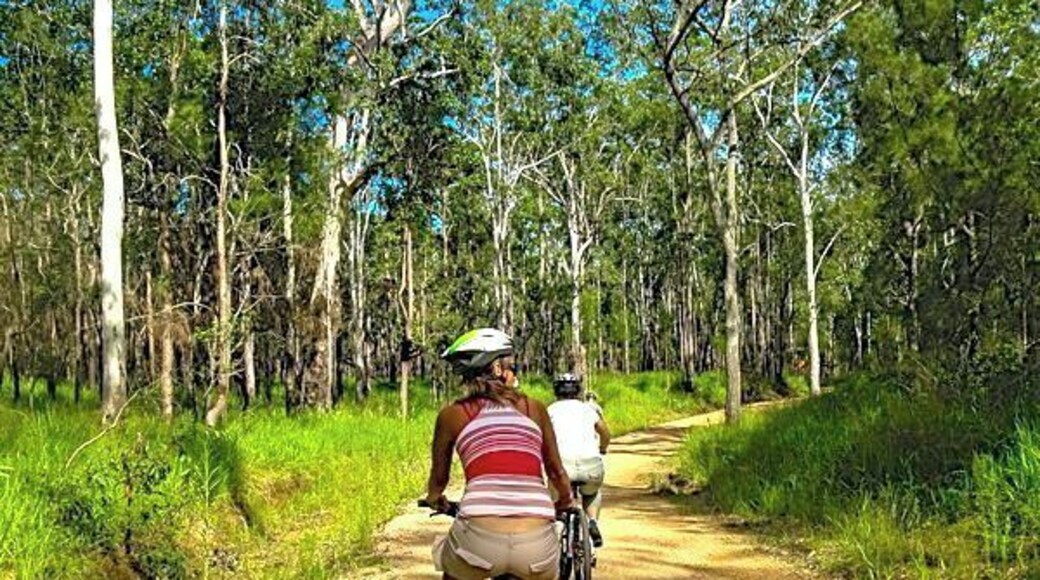 When you visit Cairns in North Queensland, we recommend that you go mountain biking in the Atherton Tablelands.
We biked the new ‘ridgey didge” track, a moderate trail, but there are trails to suit all ability levels.
Half or full day tours are run by the guys from: http://www.tablelandadventureguides.com.au/