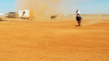 During the Adavale rodeo a big dustdevil swept over the desert