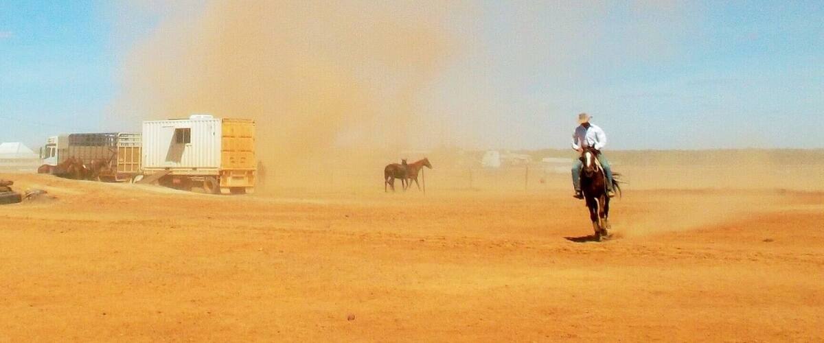 A vast desert landscape with a person riding a horse, a truck, and a camel in the background.