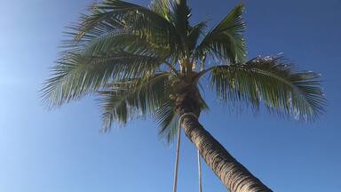 Ah serenity. This is the quieter end of the Whitsundays...