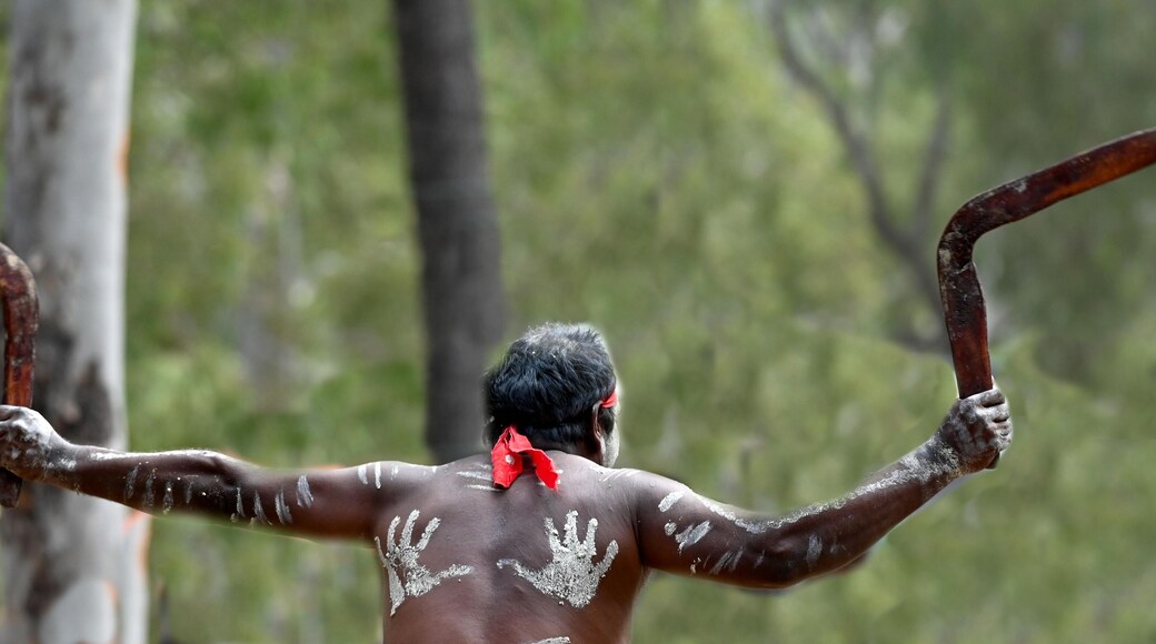 :Indigenous Australians man holding boomerang on ceremonial dance in Laura Festival Cape York Australia