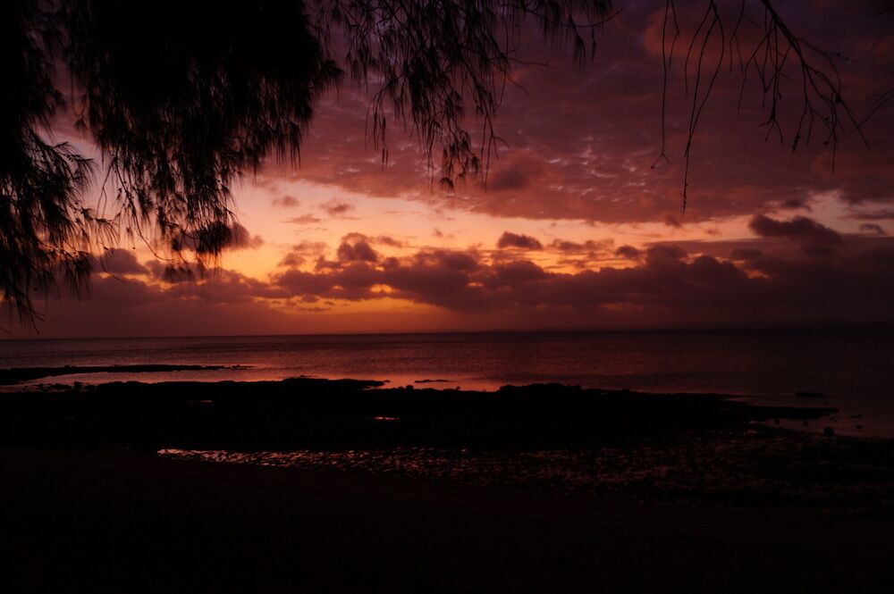 A sunset over a beach with silhouettes of trees and a rocky shoreline.
