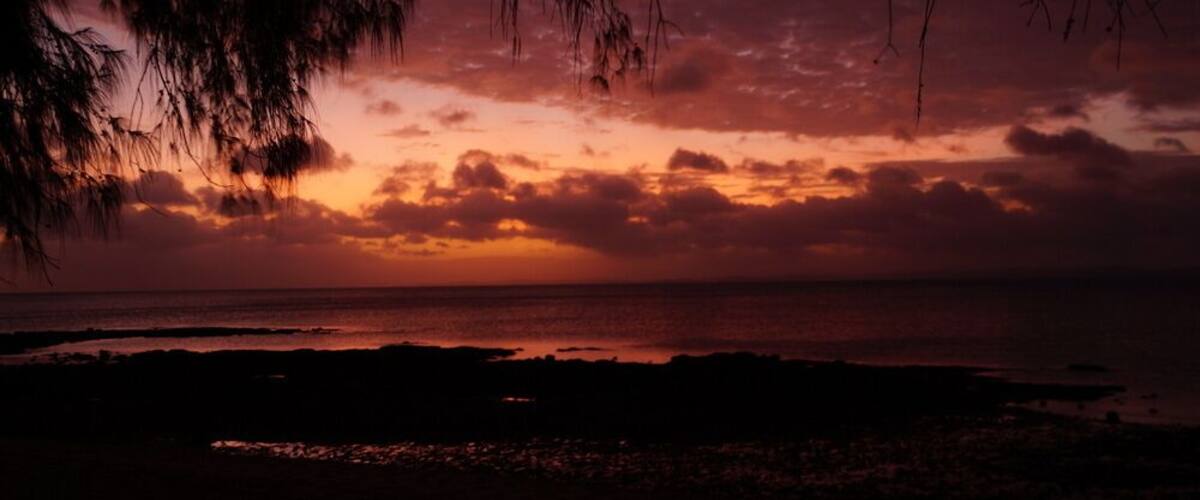 A sunset over a beach with silhouettes of trees and a rocky shoreline.