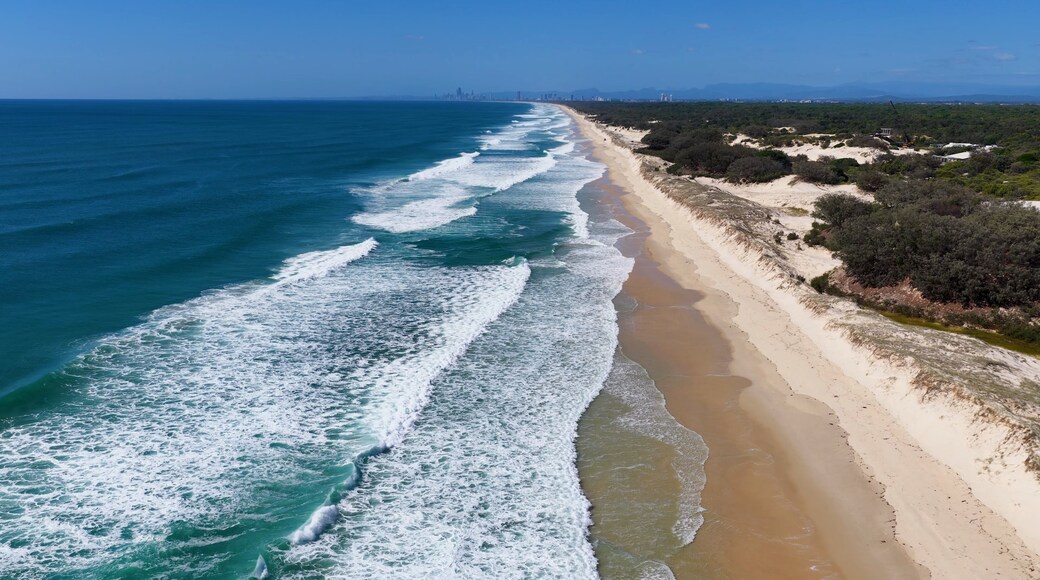 Steiglitz