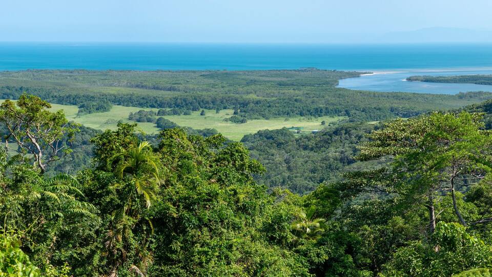 A lush green landscape with dense forest, a clear blue sky, and a distant view of the ocean.