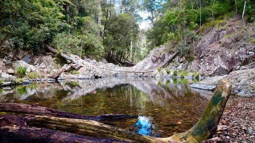 An amazing spot to cool off on a hot day. Was too slow to get
the goanna - abundant wildlife and swimming holes