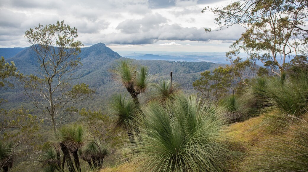 Scenic Rim, Queensland, Australia
