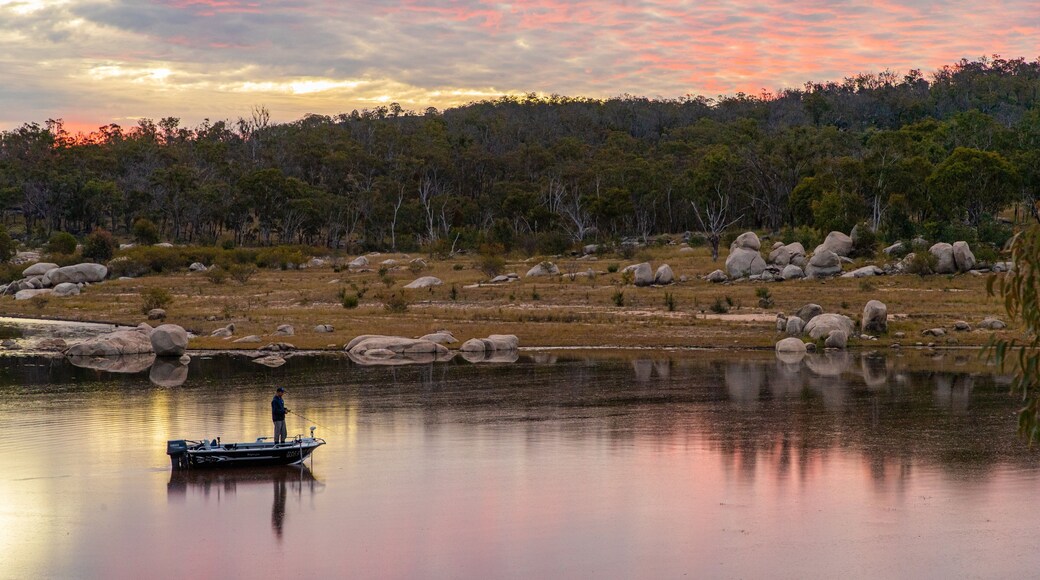 Leslie Dam featuring boating, fishing and a lake or waterhole