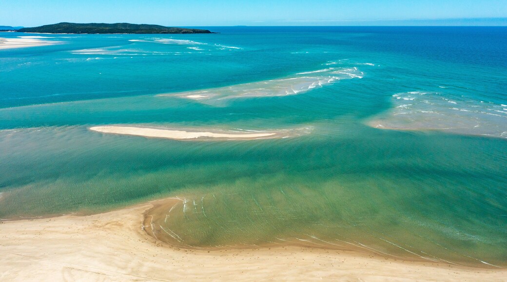 Farnborough featuring general coastal views, tropical scenes and a beach