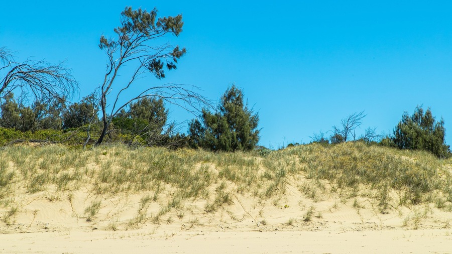 Farnborough showing a sandy beach