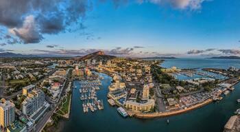 A coastal cityscape with a marina, buildings, and a prominent mountain.