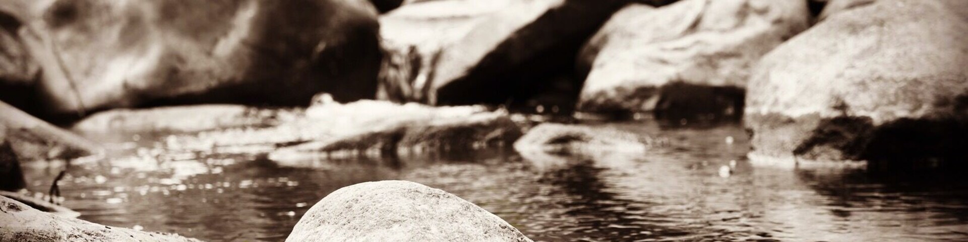 Great spot for a picnic