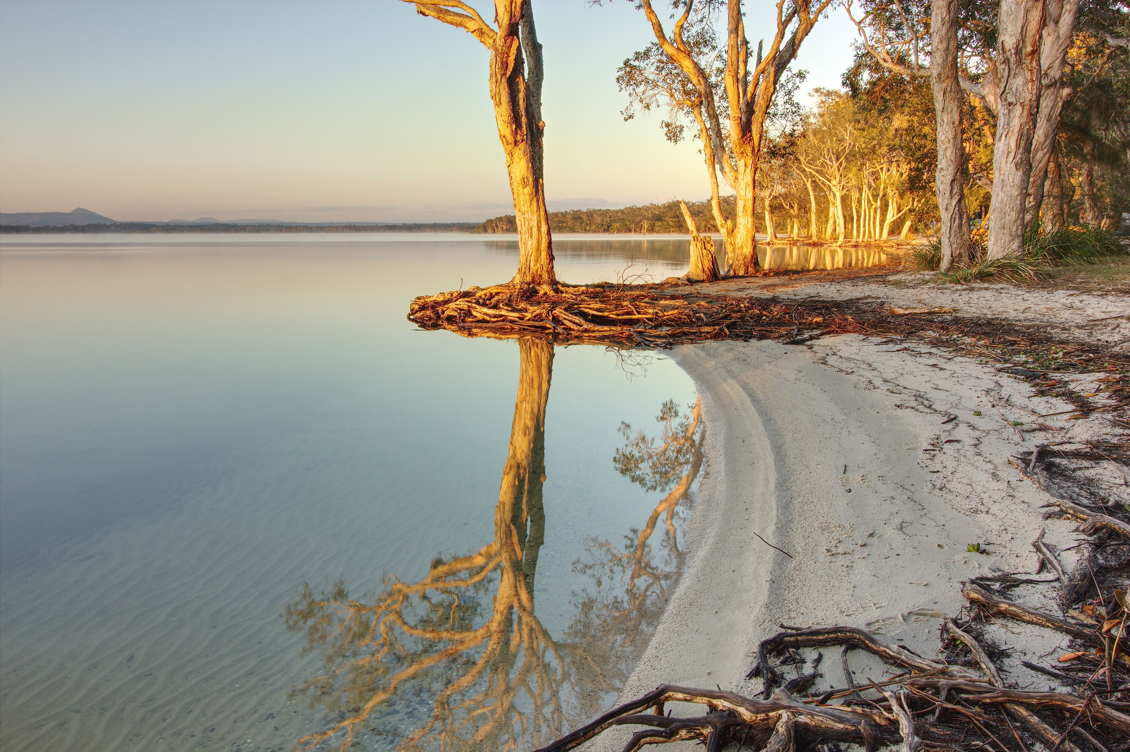 A calm lake with a sandy beach, a fallen tree trunk, and a line of trees reflecting in the water.