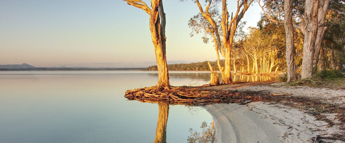 A calm lake with a sandy beach, a fallen tree trunk, and a line of trees reflecting in the water.