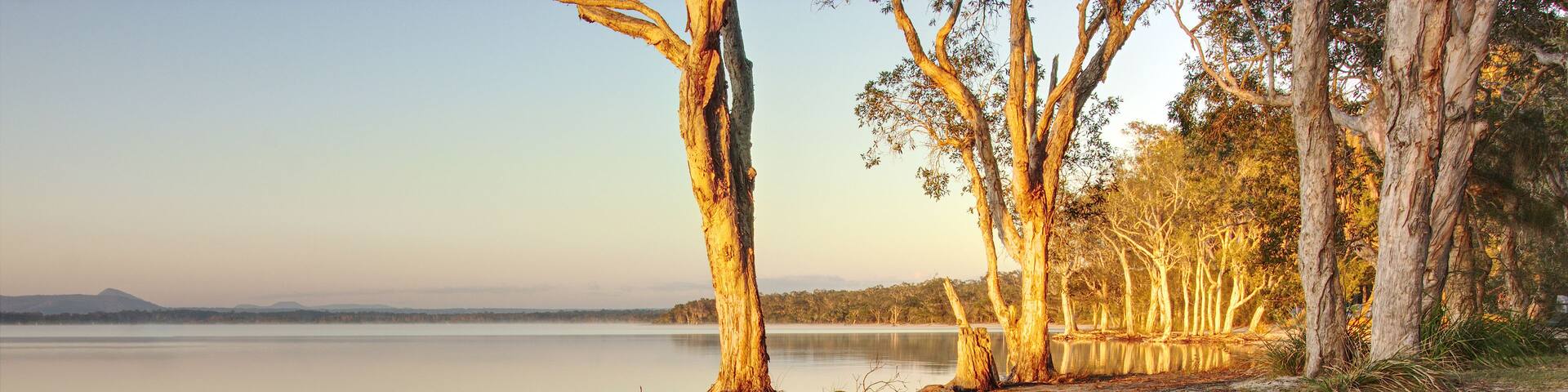 A calm lake with a sandy beach, a fallen tree trunk, and a line of trees reflecting in the water.