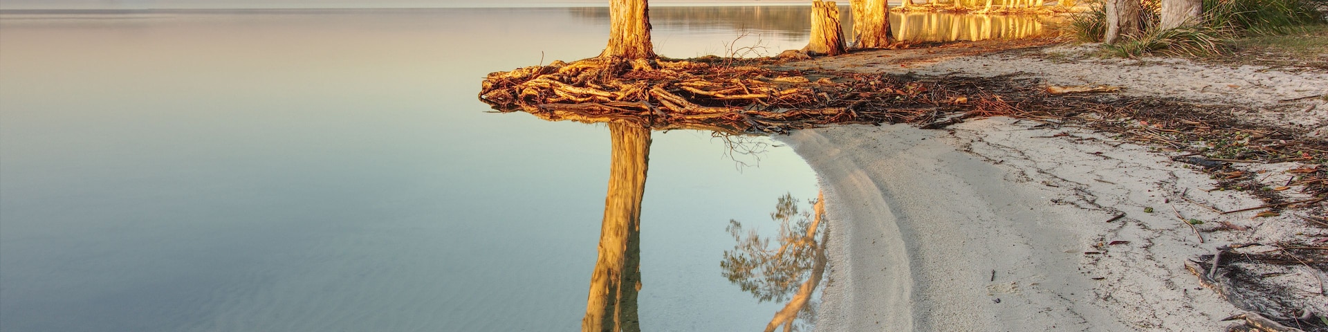 Un lac paisible avec une plage de sable, un tronc d’arbre tombé et une rangée d’arbres dont le reflet se mire dans l’eau.