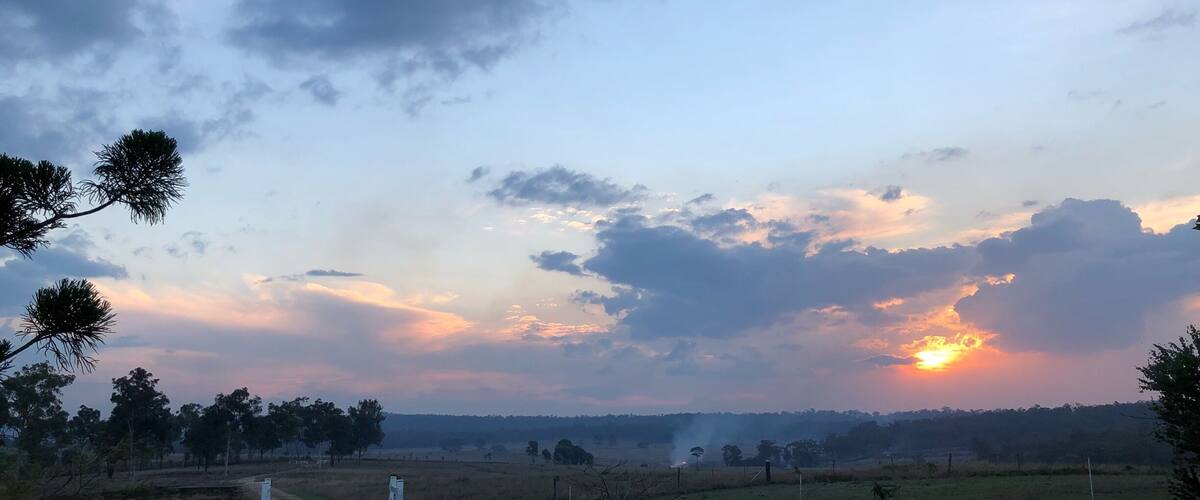 A rural landscape with a dirt path leading through a field, trees in the foreground, and a sunset in the background.