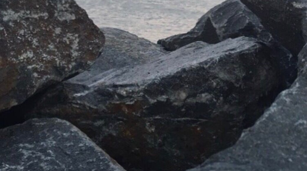 Boat harbour views in manly brisbane Australia