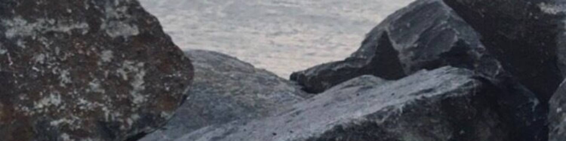 Boat harbour views in manly brisbane Australia