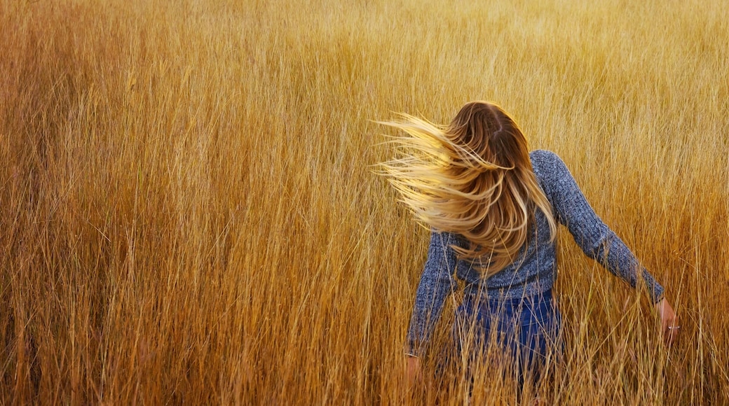 This is Giru, a small country town about an hour outside of Townsville city. I think this adorable rural town would make a wonderful #weekendgetaway ! :)