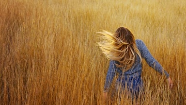 This is Giru, a small country town about an hour outside of Townsville city. I think this adorable rural town would make a wonderful #weekendgetaway ! :)