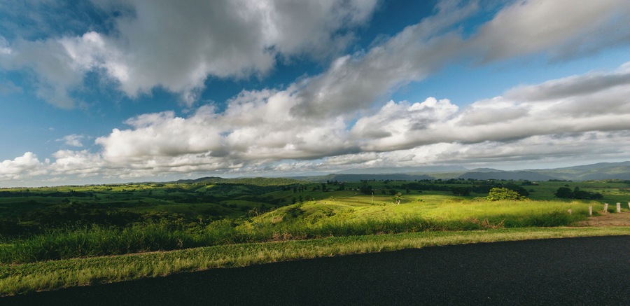 Never have I seen so much green! Everywhere you look there is a picture to be taken. I didn't make it in time but there is a dairy you can visit with a cafe that I was recommended - check it out! https://www.mungallicreekdairy.com.au/