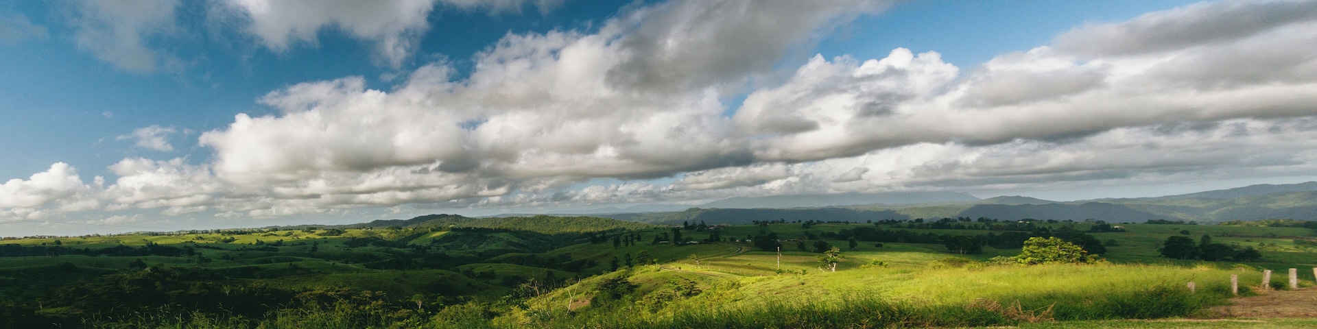 Never have I seen so much green! Everywhere you look there is a picture to be taken. I didn't make it in time but there is a dairy you can visit with a cafe that I was recommended - check it out! https://www.mungallicreekdairy.com.au/
