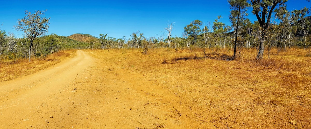 A dirt road flanked by trees in a dry, hilly landscape.