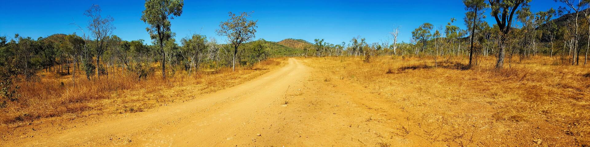 A dirt road flanked by trees in a dry, hilly landscape.
