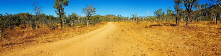 A dirt road flanked by trees in a dry, hilly landscape.