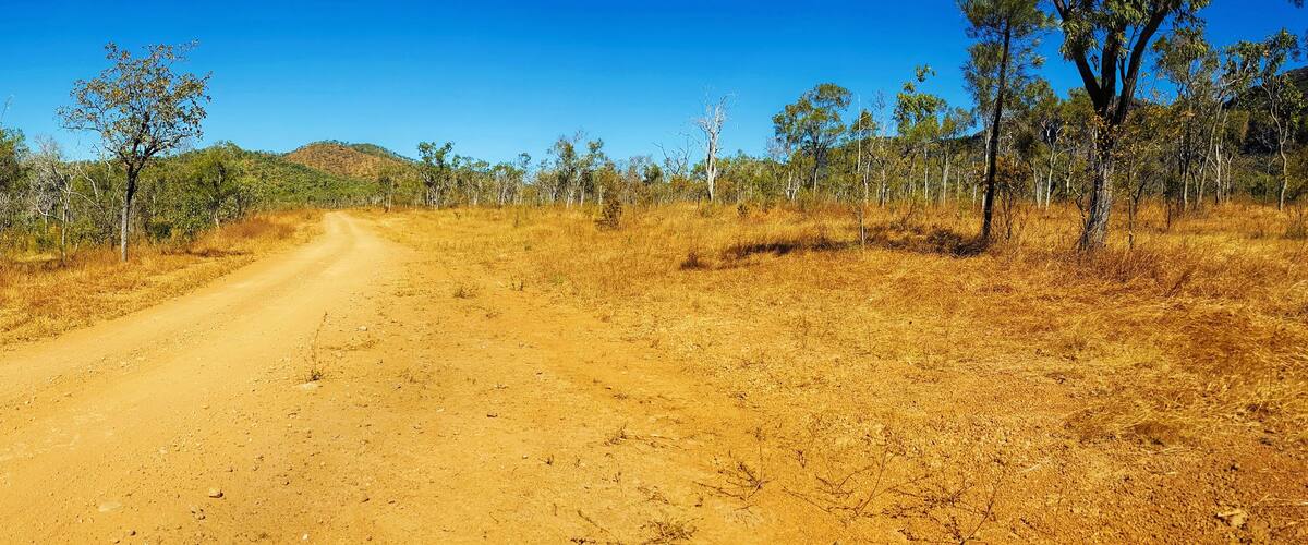 A dirt road flanked by trees in a dry, hilly landscape.