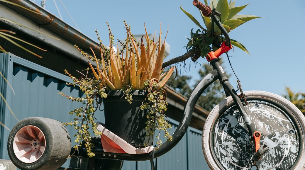 Moore featuring flowers