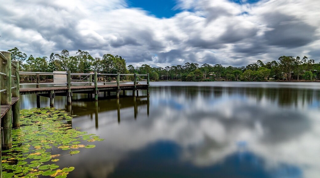 Forest lake jetty, testing a new nd filter in the middle of the day