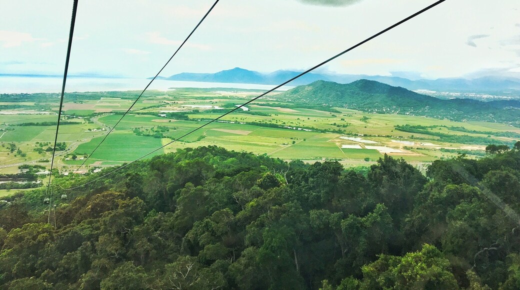 This is where I grew up but I was back recently for a family wedding- it has grown beyond recognition. When I was a child it was the end of the train line with no stop lights, one lane in and out of town. Now it's a massive tourist hub. This picture is taken from the Skyrail, an absolute must do if you are there. It goes up to Kuranda, an artsy town in the rainforest. You can also get there by the train, which is great to - or go up one way down the other. This is a view out over Trinity Bay so called because Captain Cook sailed past on Trinity Sunday. Cairns is over the hill in the distance.
#green #tropics #queensland #australia