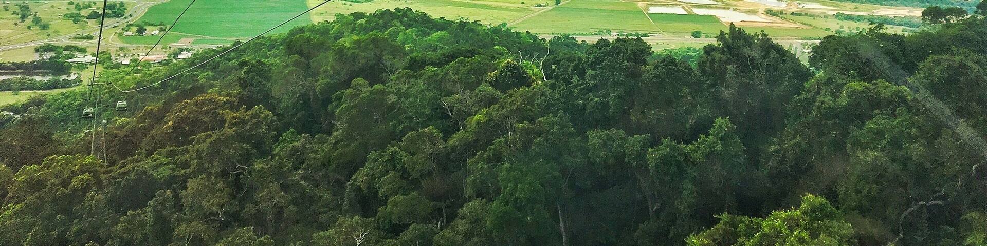 This is where I grew up but I was back recently for a family wedding- it has grown beyond recognition. When I was a child it was the end of the train line with no stop lights, one lane in and out of town. Now it's a massive tourist hub. This picture is taken from the Skyrail, an absolute must do if you are there. It goes up to Kuranda, an artsy town in the rainforest. You can also get there by the train, which is great to - or go up one way down the other. This is a view out over Trinity Bay so called because Captain Cook sailed past on Trinity Sunday. Cairns is over the hill in the distance.
#green #tropics #queensland #australia