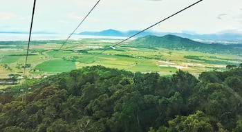 This is where I grew up but I was back recently for a family wedding- it has grown beyond recognition. When I was a child it was the end of the train line with no stop lights, one lane in and out of town. Now it's a massive tourist hub. This picture is taken from the Skyrail, an absolute must do if you are there. It goes up to Kuranda, an artsy town in the rainforest. You can also get there by the train, which is great to - or go up one way down the other. This is a view out over Trinity Bay so called because Captain Cook sailed past on Trinity Sunday. Cairns is over the hill in the distance.
#green #tropics #queensland #australia
