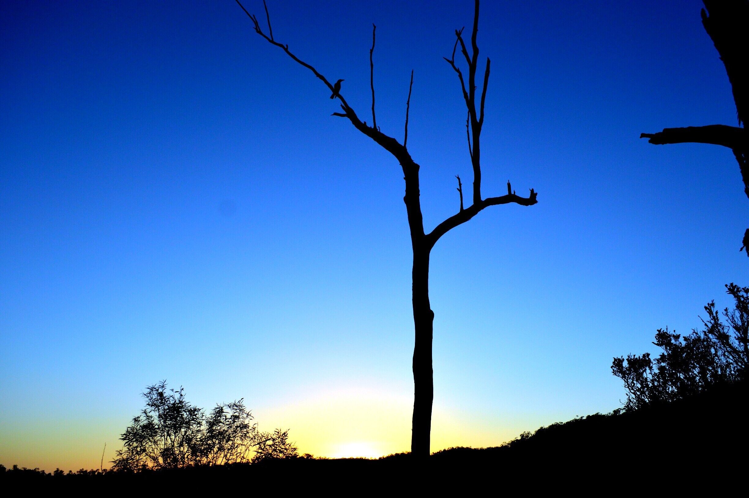 SUNRISE in Mt Hay (Rockhampton/capricorn Region)