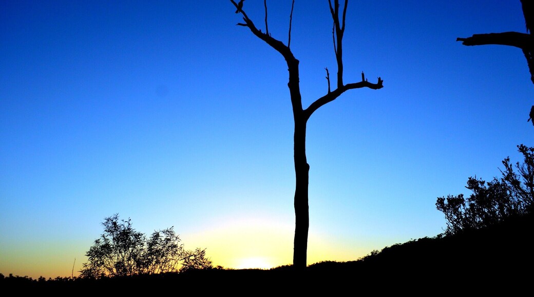 SUNRISE in Mt Hay (Rockhampton/capricorn Region)