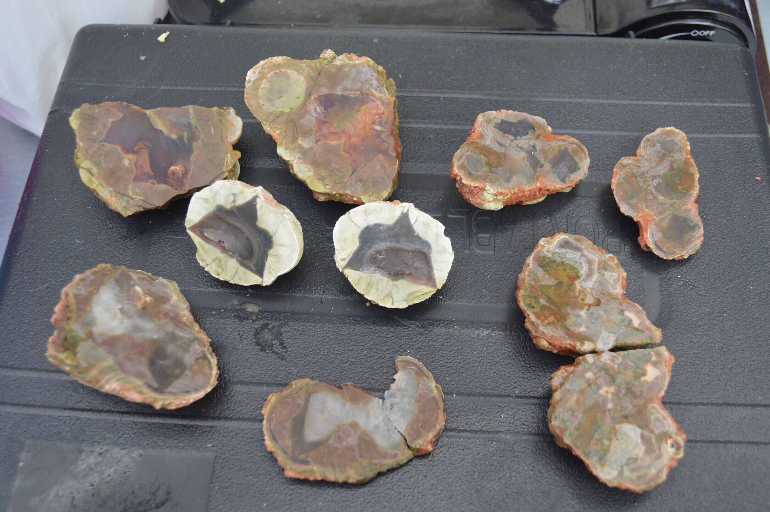 THUNDER EGGS ARE GO.... HERE AT MT HAY TOURIST PARK
What are Thundereggs? 120 million years ago when Mt Hay was an active volcano, Rhyolite lava would spill over and gases were trapped creating bubble like structures that became filled with semi-precious minerals such as Quartz, Amethyst, Agate and Jasper. Over time, the lava has broken down to reveal egg shaped rocks (or volcanic birthstones) that are ready to be discovered.