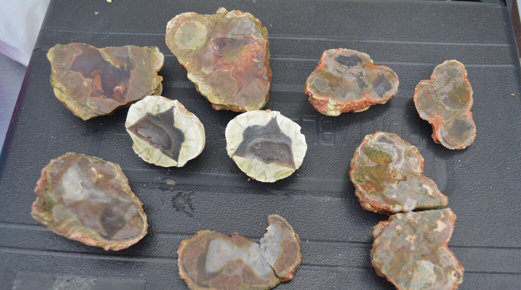 THUNDER EGGS ARE GO.... HERE AT MT HAY TOURIST PARK
What are Thundereggs? 120 million years ago when Mt Hay was an active volcano, Rhyolite lava would spill over and gases were trapped creating bubble like structures that became filled with semi-precious minerals such as Quartz, Amethyst, Agate and Jasper. Over time, the lava has broken down to reveal egg shaped rocks (or volcanic birthstones) that are ready to be discovered.