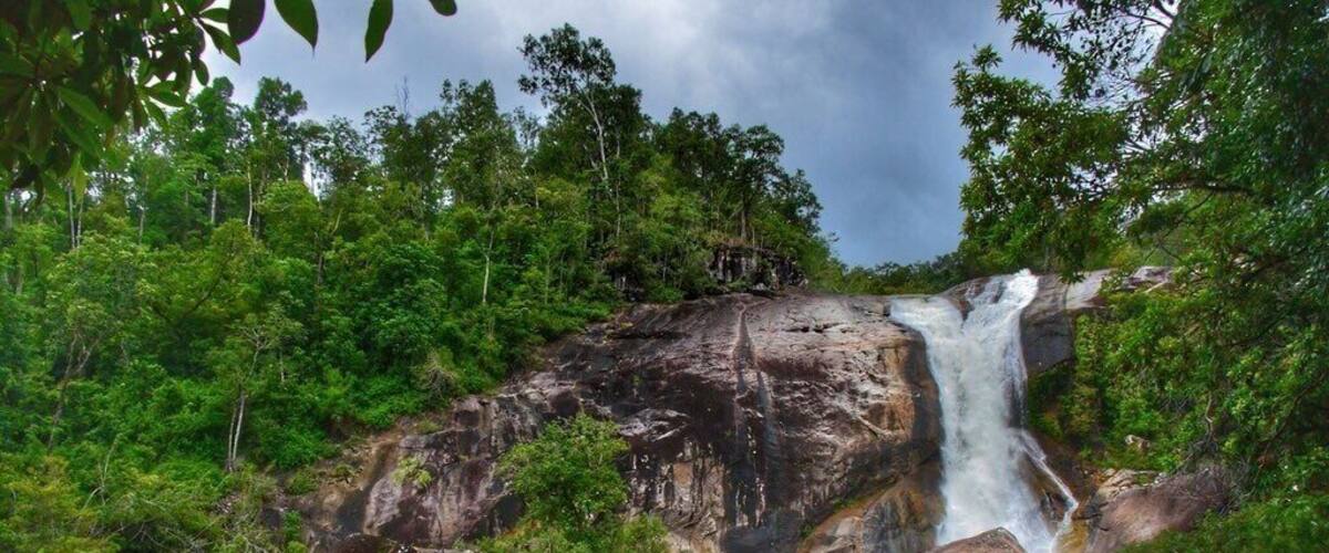 A waterfall cascading over rocks surrounded by lush greenery.