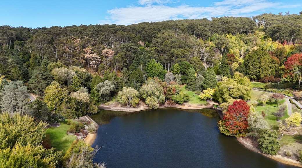 A lake surrounded by dense forest with a variety of trees, including some with autumn foliage.